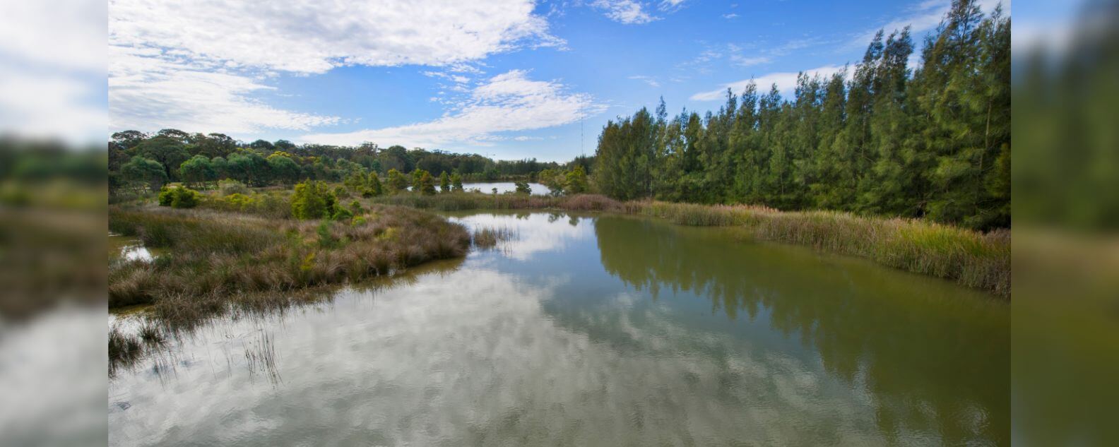 Image of lake at Sydney Olympic Park