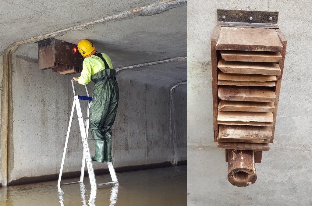 A person in protective gear stands on a ladder inside a concrete tunnel, inspecting or installing a wooden structure on the ceiling, with a close-up of the structure on the right.